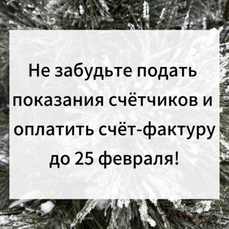 Своевременная оплата счёт-фактуры.